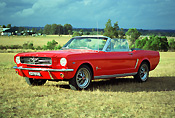 Transport, transportation, vehicle, vehicles, car, cars, motor car, motor cars, vehicle, vehicles, motor vehicle, motor vehicles, automobile, automobiles, mustang, mustangs, ford, ford car, ford cars, convertible, convertibles.