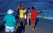 Australia, New South Wales, queenscliffe, beach, beaches, coast, coasts, coastline, coastlines, boat, boats, boating, hat, hats, accident, accidents, lifesaver, lifesavers, lifesaving, rescue, rescues, man, men, male, males, emergency, emergency services.