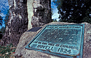 Australia, australian, explorer, explorers, albury, nsw, new South Wales, tree, trees, hovell, hovell tree, plaque, plaques, memorial, memorials, monument, monuments.