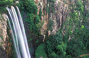 Australia, qld, queensland, main range, main range np, main range national park, National Park, National Parks, waterfall, waterfalls, running water, water, queen mary, queen mary falls, cliff, cliffs, rainforest, rainforests.
