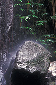 Australia, qld, queensland, lamington, great dividing range, lamington np, lamington national park, national park, national parks, rainforest, rainforests, forest, forests, creek, creeks, stream, streams, water, rock, rocks, nagarigoon, nagarigoon falls, waterfall, waterfalls, running water.