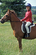 Europe, Western Europe, UK, Britain, British Isles, England, United Kingdom, Great Britain, animal, animals, horse, horses, australia, pony, ponies, child, children, girl, girls, female, females, helmet, helmets, horse ride, horse riding, horse rider, horse riders, horseride, horseriding, horserider, horseriders, ride, rides, riding, saddle, saddles, bridle, bridles, Australia, Sport pictures, Sports, balloon images, hot air balloons