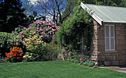 Garden, Gardens, Mount Wilson, lawn, lawns, blue mountains, great dividing range, NSW, New South Wales, great dividing range, Australia, house, houses, housing, architecture, cottage, cottages, cottage garden, cottage gardens, PF48,