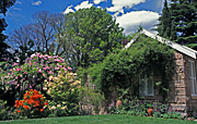 Garden, Gardens, Mount Wilson, lawn, lawns, blue mountains, great dividing range, NSW, New South Wales, great dividing range, Australia, house, houses, housing, architecture, cottage, cottages, cottage garden, cottage gardens, PF48,