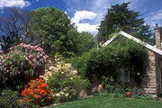 Garden, Gardens, cottage, chimney, chimneys, cottages, architecture, house, houses, housing, cottage garden, Cottage gardens, blue mountains, great dividing range, New South Wales, NSW, Australia, lawn, lawns, PF48,
