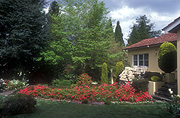 House, houses, housing, render, rendered, cement render, cement rendering, cement rendered, garden, gardens, house, houses, housing, Leura, blue mountains, great dividing range, NSW, New South Wales, tree, trees, lawn, lawns, australia, PF48,