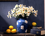 Flower, flowers, white, white flower, white flowers, daisy, daisies, lemon, lemons, citrus, citrus fruits, vase, vases, vase of flowers, vases of flowers, book, books, paper.