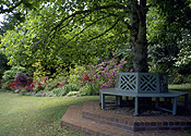 Australia, New South Wales, blue mountains, great dividing range, tree, trees, garden, gardens, furniture, garden furniture, outdoor furniture, paver, pavers, paving, seat, seats, lawn, lawns.