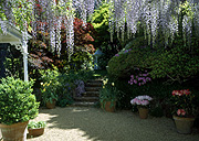 Garden, gardens, courtyard, courtyards, gravel, wisteria, pot, pots, potted, garden pot, garden pots, outdoor pot, outdoor pots, Quadrille.