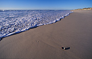 Australia, Beach, Beaches, water, coast, coasts, coastal, coastline, coastlines, seashore, seashores, shoreline, shorelines, shell, shells, seashell, seashells, sand.