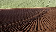 Australia, tas, tassie, tasmania, agriculture, rural, rural scene, rural scenes, farming, farm, farms, plough, ploughs, ploughed, field, fields, paddock, paddocks.