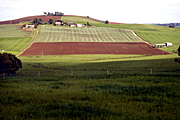 Australia, tas, tassie, tasmania, agriculture, rural, rural scene, rural scenes, farming, farm, farms, plough, ploughs, ploughed, field, fields, paddock, paddocks.