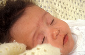 People, child, children, Baby, Babies, Infant, Infants, infancy, sleep, sleeps, sleeping, baby sleeping, babies sleeping, child sleeping, children sleeping, sleeping baby, sleeping babies, sleeping child, sleeping children, people sleeping, Australia, Sport pictures, Sports, balloon images, hot air balloons