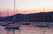 Australia, New South Wales, Gosford, Brisbane Water, broken bay, bay, bays, Gosford harbour, harbour, harbours, water, boat, boats, boating, yacht, yachts, yachting, moored boat, moored boats.