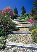 Garden, Gardens, footpath, footpaths, path, paths, pathway, pathways, step, steps, gravel, sleeper, sleepers, railway sleeper, railway sleepers.