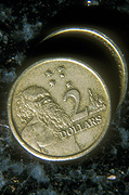 Coin, coins, currency, australian currency, two dollar coin, two dollar coins, money, australian money, dollar, dollars, two, australia, australian, aborigine, aborigines, aboriginal, aboriginals, indigenous, indigenous people, beard, beards.