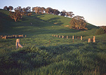 Australia, New South Wales, orange, rural, rural scene, rural scenes, hill, hills, green hill, green hills, fence, fences.