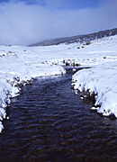 Australia, New South Wales, kosciusko, great dividing range, Kosciusko NP, Kosciusko National Park, national park, DFF, DFFNATPKS, national parks, snow, snow scene, snow scenes, winter, winter scene, winter scenes, river, rivers, cold, snowy river, alp, alps, australian alps.