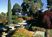 Garden, gardens, Australia, New South Wales, blue mountains, great dividing range, tree, trees.
