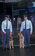 Australia, New South Wales, police, police force, emergency service, emergency services, law, law enforcer, law enforcement, law and order, sydney, anzac day, dog, dogs, alsation, alsations, german shepherd, german shepherds.