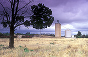 Farming, Farmland, farm, farms, Australia, SA, South Australia, Mallee, the Mallee, tree, trees, agriculture, rural, rural scene, rural scenes, silo, silos, grain, grain silo, grain silos, storage.