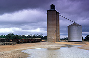 Farming, Farmland, farm, farms, Australia, SA, South Australia, Mallee, the Mallee, agriculture, rural, rural scene, rural scenes, silo, silos, grain, grain silo, grain silos, storage.