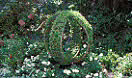 Garden, gardens, topiary, IS47,