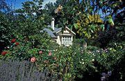 Garden, Gardens, cottage, cottages, cottage garden, cottage gardens, house, houses, housing, architecture, rural, rural scene, rural scenes, IS47,