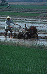 Farming, Farmland, farm, farms, agriculture, rice, rice growing, rice paddy, rice paddies, rice field, rice fields, paddy, paddies, China, plough, ploughs, ploughing, jiangsu, jiangsu province, rural, rural scene, rural scenes, machine, machines, machinery, agricultural machinery, farming machinery, farming equipment, agricultural equipment.
