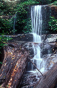 Australia, New South Wales, Washpool, Washpool NP, National Park, National Parks, Washpool national park, waterfall, waterfalls, summit, summit falls, water, running water, forest, forests, rainforest, rainforests.