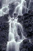 Australia, qld, queensland, waterfall, waterfalls, rainforest, rainforests, forest, forests, water, running water, poondahra, poondahra falls, springbrook, great dividing range, springbrook np, springbrook national park, national park, national parks.