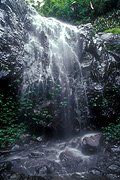 Australia, qld, queensland, waterfall, waterfalls, rainforest, rainforests, forest, forests, water, running water, poondahra, poondahra falls, springbrook, great dividing range, great dividing range, springbrook np, springbrook national park, national park, national parks.