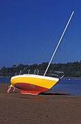 Australia, boat, boats, boating, yacht, yachts, tide, tides, tidal, low tide, sand, beach, beaches, coast, coasts, coastline, coastlines, mast, masts, sail, sails, sailing.