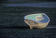 Australia, boat, boats, boating, tide, tides, tidal, low tide, sand, beach, beaches, coast, coasts, coastline, coastlines, rowboat, rowboats.