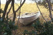 Australia, boat, boats, boating, tide, tides, tidal, low tide, sand, beach, beaches, coast, coasts, coastline, coastlines, mangrove, mangroves, watercraft, row boat, row boats, rowboat, rowboats, rowingboat, rowingboats, rowing boat, rowing boats.