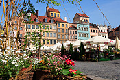 Europe, warsaw, poland, rynek, starego, miasta, rynek starego miasta, flower, flowers, basket, baskets, market, markets, market stall, markets stalls, FF25,