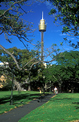 NSW, New South Wales, australia, sydney, towers, centrepoint tower, centrepoint, hyde, hyde park, park, parks, architecture, FF25,