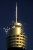 NSW, New South Wales, australia, sydney, tower, towers, centrepoint, centrepoint tower, olympics, architecture, architecture, FF25,