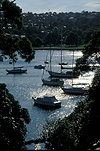 Australia, New South Wales, Sydney, Manly, Balgowlah, boat, boats, boating, yacht, yachts, yachting, mooring, moorings, moored yacht, moored yachts, water, FF25,