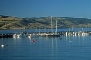 Australia, Vic, Victoria, Apollo Bay, Bay, Bays, Water, yacht, yachts, boat, boats, boating, harbour, harbours, otways, the otways, otway ranges, marina, marinas, dock, docks, FF25,