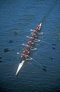 Australia, people, Sport pictures, Sports, row, rows, rower, rowers, rowing, oar, oars, river, rivers, water, water scene, water scenes, Yarra, Yarra river, Melbourne, Vic, Victoria, scull, sculls, sculling, sculler, scullers, outdoors, FF25,