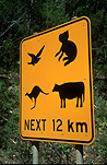 Australia, sign, signs, road sign, road signs, roadsign, roadsigns, koala, koalas, koala sign, koala signs, kangaroo, kangaroos, kangaroo sign, kangaroo signs, cattle, cattle sign, cattle signs, FF25,