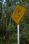 Australia, Sign, Signs, roadsign, roadsigns, road sign, road signs, koala, koalas, koala bear, koala bears, warning sign, warning signs, FF25,