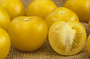 Tomato, tomatoes, yellow, yellow tomato, yellow tomatoes, solanum.