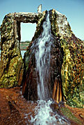 Water resources, bore, bores, artesian bore, artesian bores, Burketown, Qld, Queensland, Australia, water, water scene, water scenes.