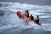 Australia, New South Wales, life saving, life saving, surf life saving, life saver, life savers, life saver, life savers, safety, people, man, men, male, males, boat, boats, rubber ducky, rubber duckies, water.