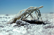 Australia, South Australia, SA, desert, deserts, eyre, lake, lake eyre, lake, lakes, salt, salt lake, salt lakes, outback, australian outback, outback australia, terminal lake, terminal lakes, basin, basins, Lake Eyre Basin, national park, national parks, lake eyre national park.