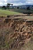 Australia, Erosion, erode, eroded, environmental, environmental damage, soil, soil erosion, australia, erode, eroded, eroding, rural, rural scene, rural scenes.