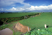 Erosion, erode, eroded, environmental, environmental damage, soil, soil erosion, Tarlee, SA, South Australia, australia, erosion, eroding, australia, rural, rural scene, rural scenes, farmland, farming land, farm land, farming land.