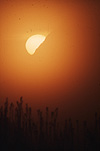 Sun, the sun, sunrise, sunrises, sunset, sunsets, sunrises and sunsets, circle, circles, sky, skies, sky scene, sky scenes.